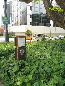 First Botanic Gardens Bras Basah Road