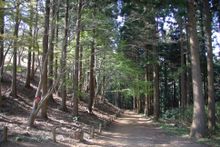 Mt. Takao