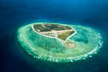Lady Elliot Island
