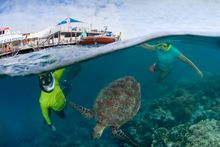 Sunlover Family Reef Package