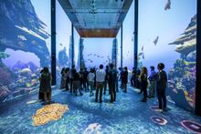 “Immersion” Oceanographic Museum of Monaco