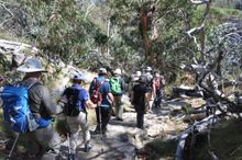 Hiking on Mount Buffalo