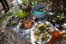 Picnic lunch with Hedonistic Hiking
