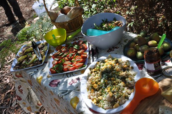 Picnic lunch with Hedonistic Hiking