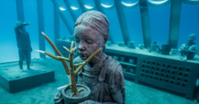 Coral planting experience at the Museum of Underwater Art
