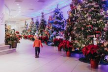 Glow | Cleveland Botanical Garden 