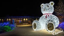Cleveland Metroparks Zoo Wild Winter Lights
