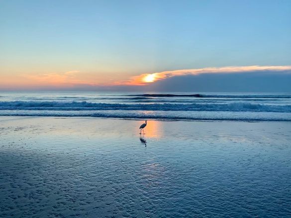 Winter is a great time to visit Daytona Beach, Florida