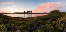 Crissy Marsh in the Presidio of San Francisco