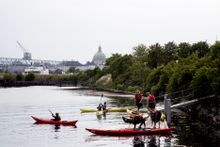 Kayaks in Copenhagen with Frederiks Church in the background, Denmark 