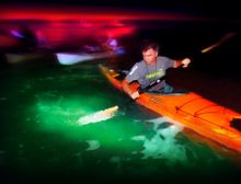 Bioluminescent Night Kayaking - Florida's Space Coast