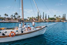 Saltwater Eco Cruise on the Sunshine Coast