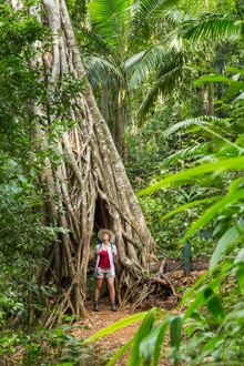 Eungella National Park