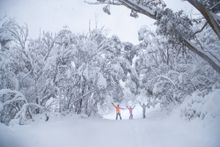 Skiers and snowboarders enjoying a powder day in Thredbo in winter