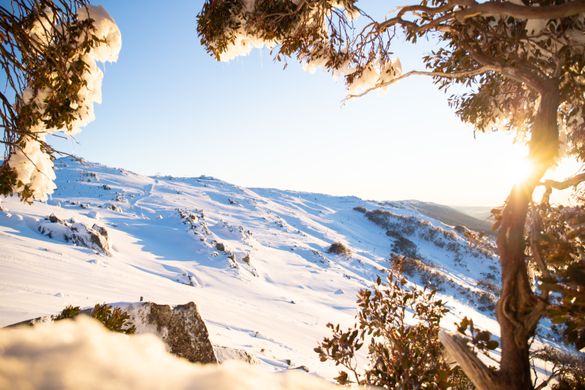 Thredbo has received gold EarthCheck certification