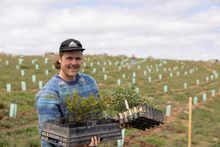 Thredbo partners with Keep It Cool to plant trees locally