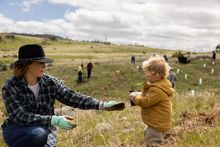Thredbo partners with Keep It Cool to plant trees