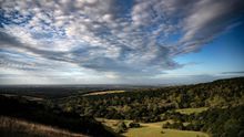 The Great Sussex Way - Kingley Vale