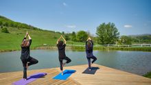 Eupepsia Wellness Resort