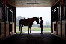 Salamander Resort Equestrian Program