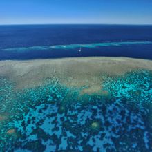 2. Elisabeth Reef, Whitsundays