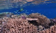 3. Secret Reef