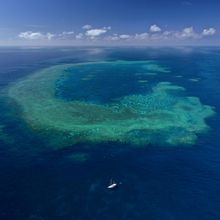 5. Tiger Reef, Bowen (The Whitsundays)