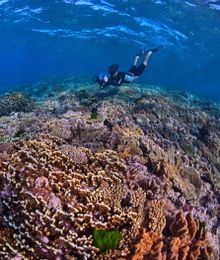6. Fitzroy Reef, Great Keppel Island 