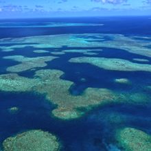 3. Secret Reef, The Whitsundays
