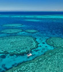 6. Fitzroy Reef, Capricorn Coast