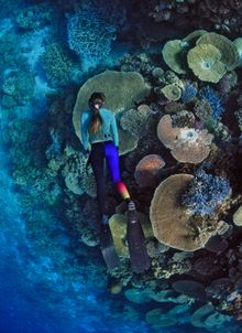 7. Unnamed Reef, Yeppoon (Capricorn Coast)