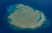7. Unnamed Reef, Yeppoon, Capricorn Coast