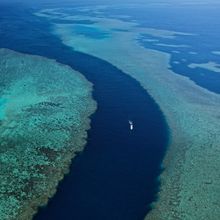 Kangaroo Reef, Bowen (The Whitsundays)