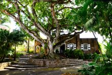 Montpelier Plantation and Beach, Entrance
