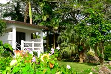 Montpelier Plantation and Beach, Gardens