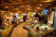 Exhibit in the MacBride Museum