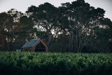 Petit Eco Cabins
