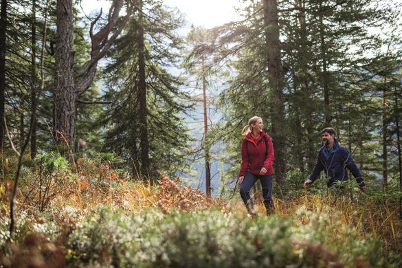 Maier Sports Outdoor