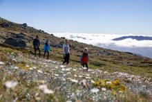 Plan a family trip to Thredbo during the Easter Adventure Carnival