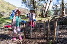 There will be tree-planting activities to offset carbon emissions at Thredbo Resort