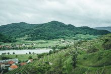 Kellerberg Domäne Wachau 