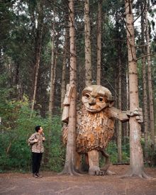 A man looking up at Lille Tilde, one of the forgotten giants created by artist Thomas Dambo. The giants are made from recycled material.