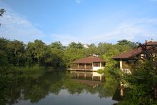 MacRitchie Nature Trail & Reservoir Park
