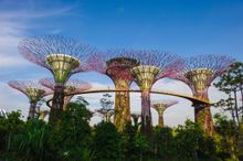 Gardens by the Bay