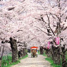 Kitakami Tenshochi Park