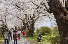 Kitakami Tenshochi Park