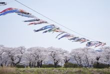 Kitakami Tenshochi Park