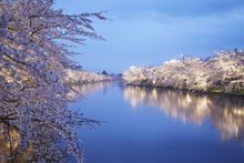 Hirosaki Park