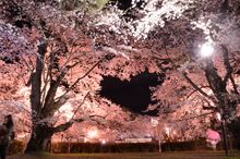 Hirosaki Park