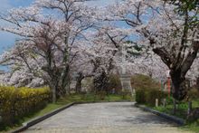 Tsuruoka Park